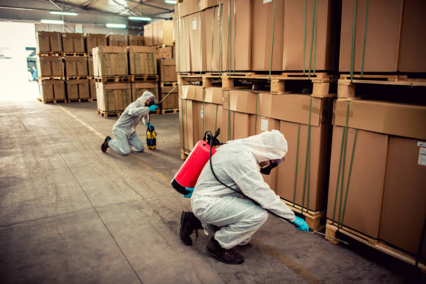 Best Bed Bug Extermination  in Park Falls, WI