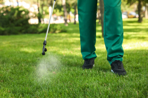 Best Rat Extermination Near Me  in Park Falls, WI
