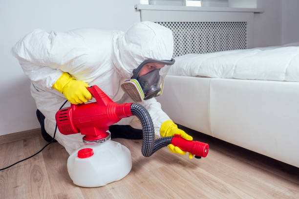 Best Termite Control Services  in Park Falls, WI