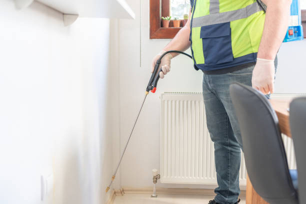 Best Ant Control Services  in Park Falls, WI