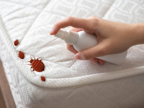 Best Exterminator Services  in Park Falls, WI
