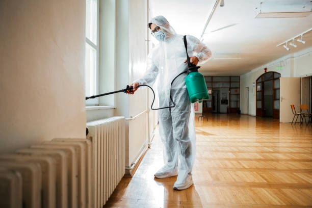 Professional Pest Control in Park Falls, WI