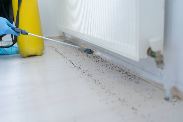 Best Affordable Pest Control Services  in Park Falls, WI