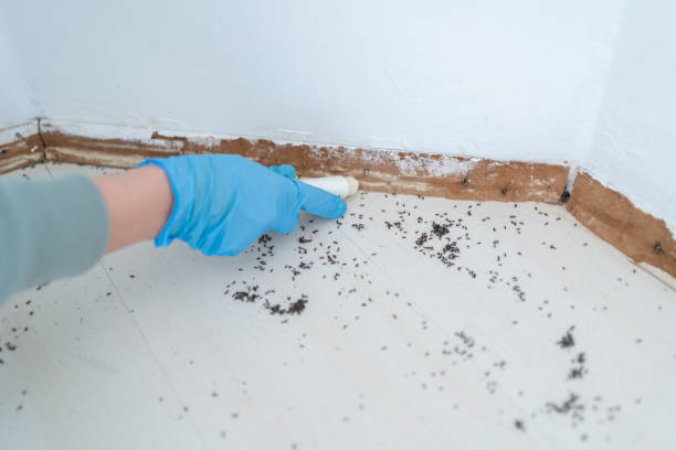 Best Pest Inspection Near Me  in Park Falls, WI